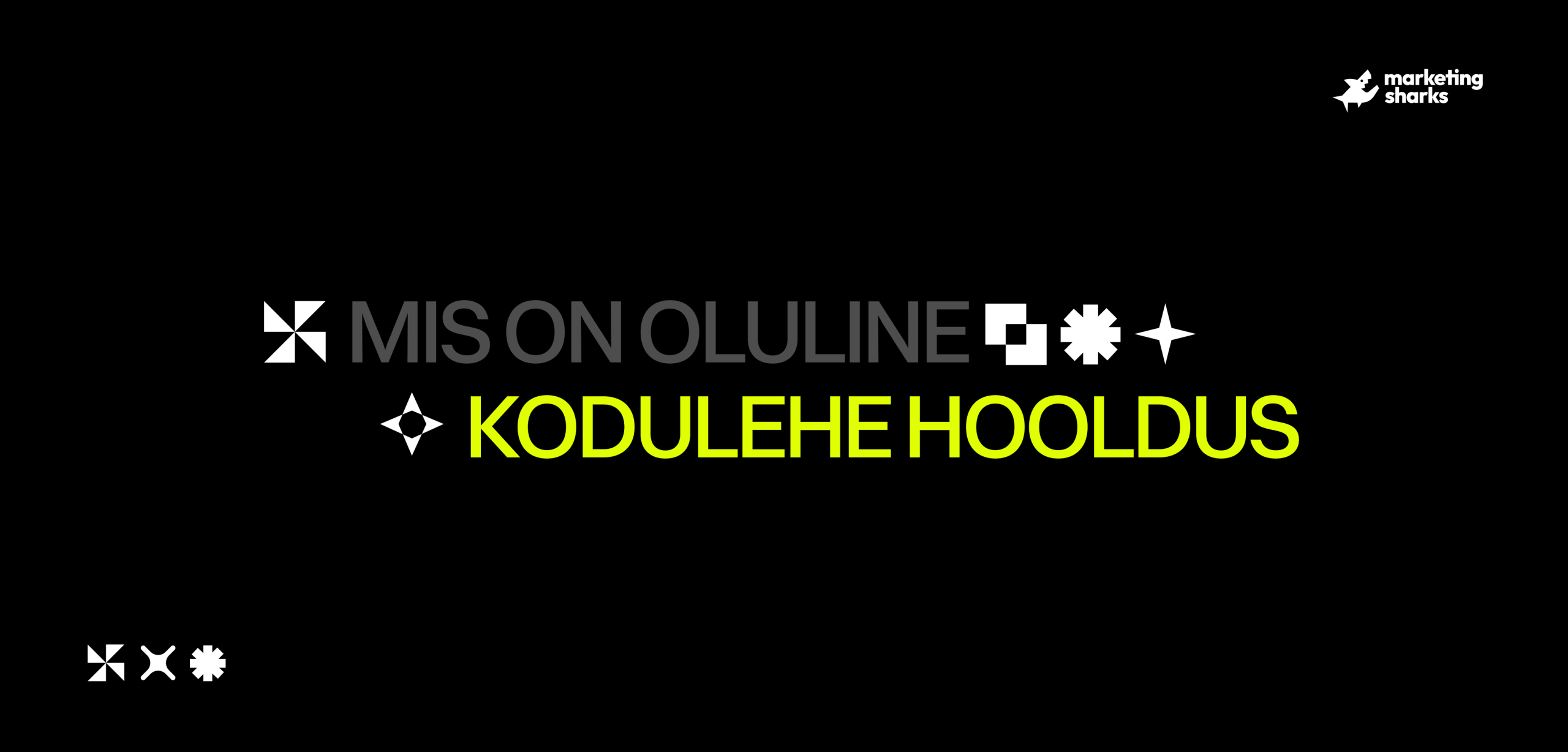 Miks on oluline kodulehe hooldus ja monitoorimine? Juhend 2026