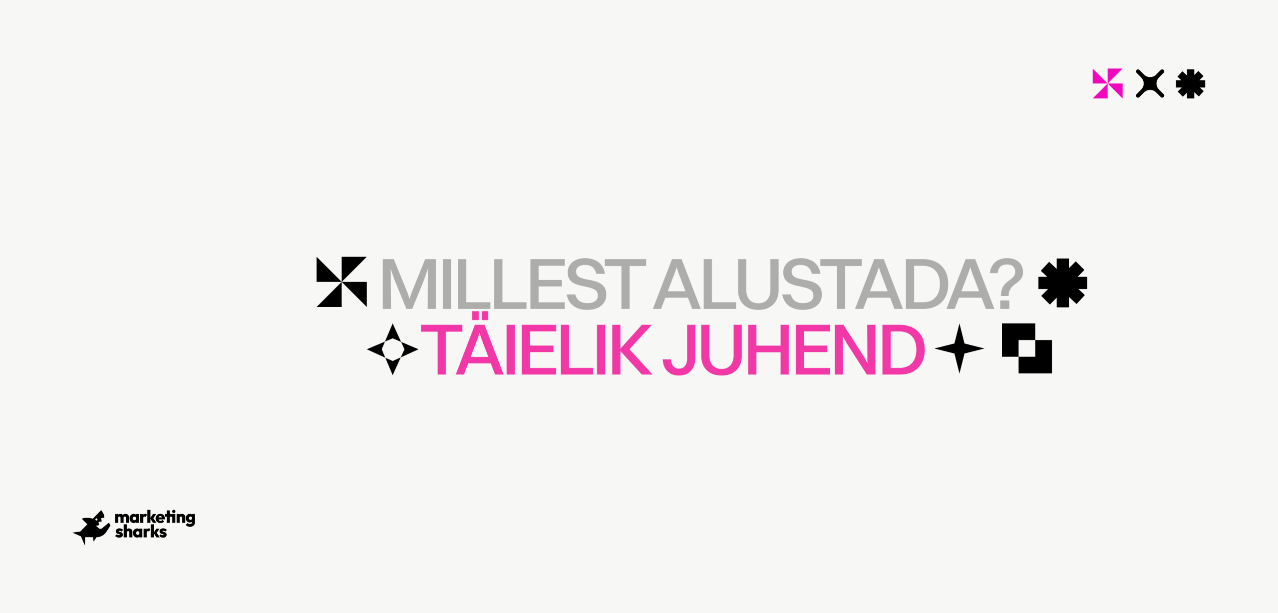 E-poe tegemine – millest alustada? Täielik juhend 2026