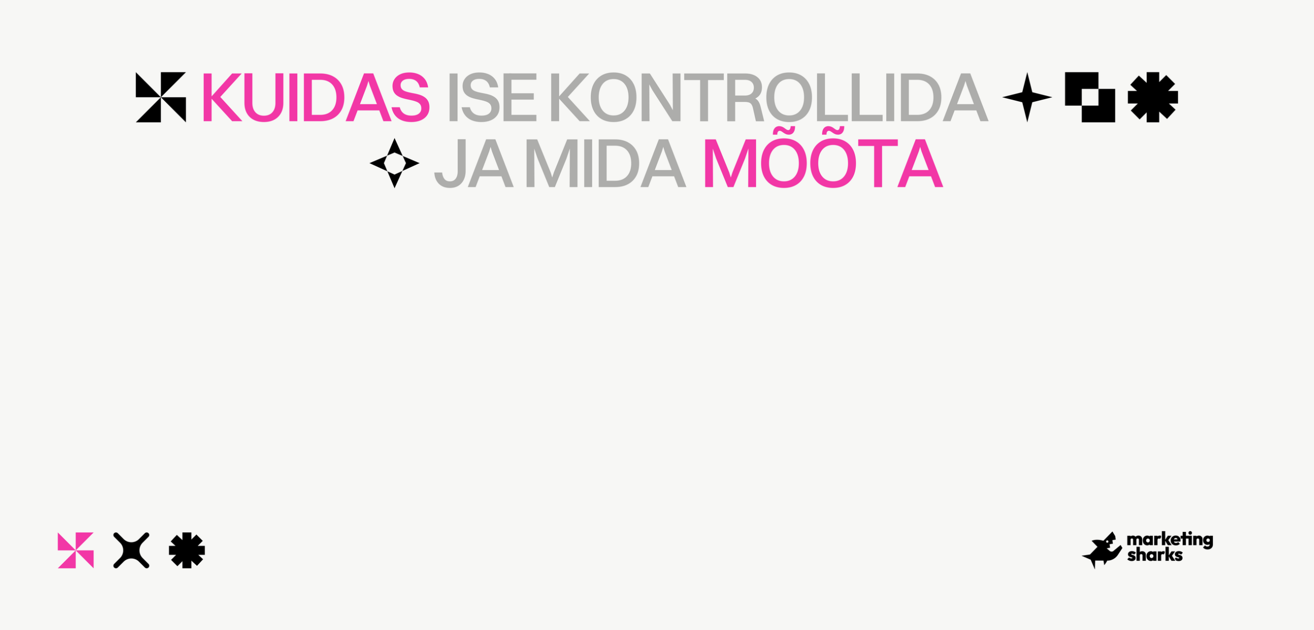 Kodulehe audit: kuidas ise kontrollida ja mida mõõta