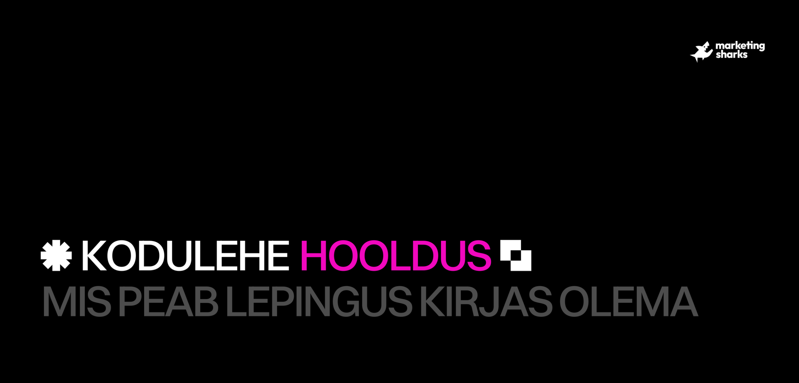 Kodulehe hooldus: mis peab lepingus kirjas olema ja mida see päriselt maksab