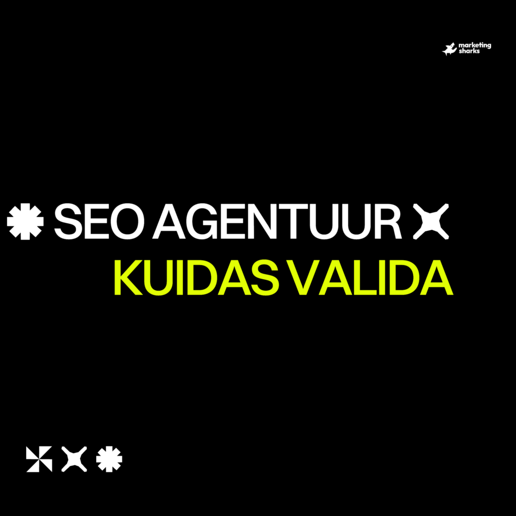 SEO agentuur Eestis: kuidas valida ja mida see maksab