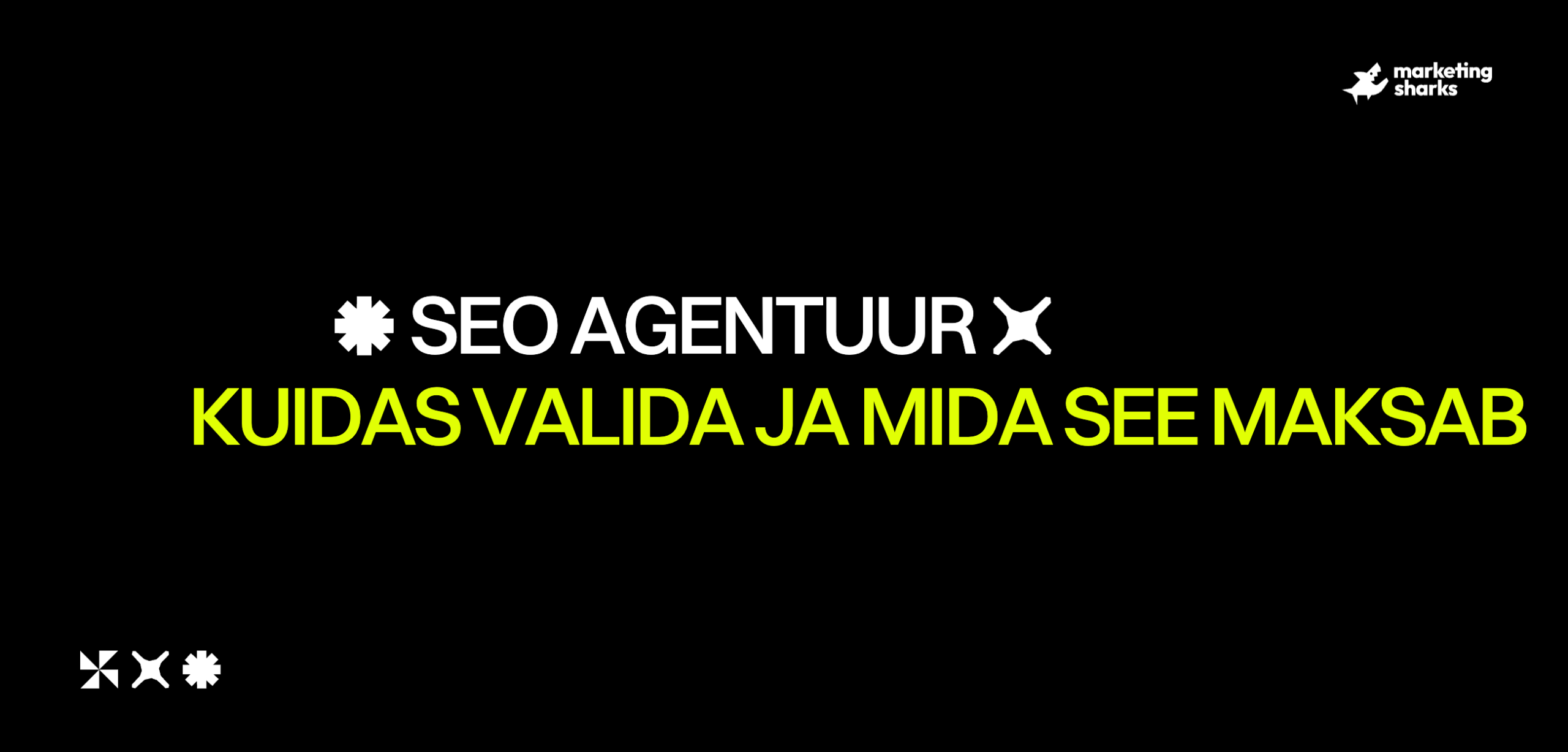 SEO agentuur Eestis: kuidas valida ja mida see maksab