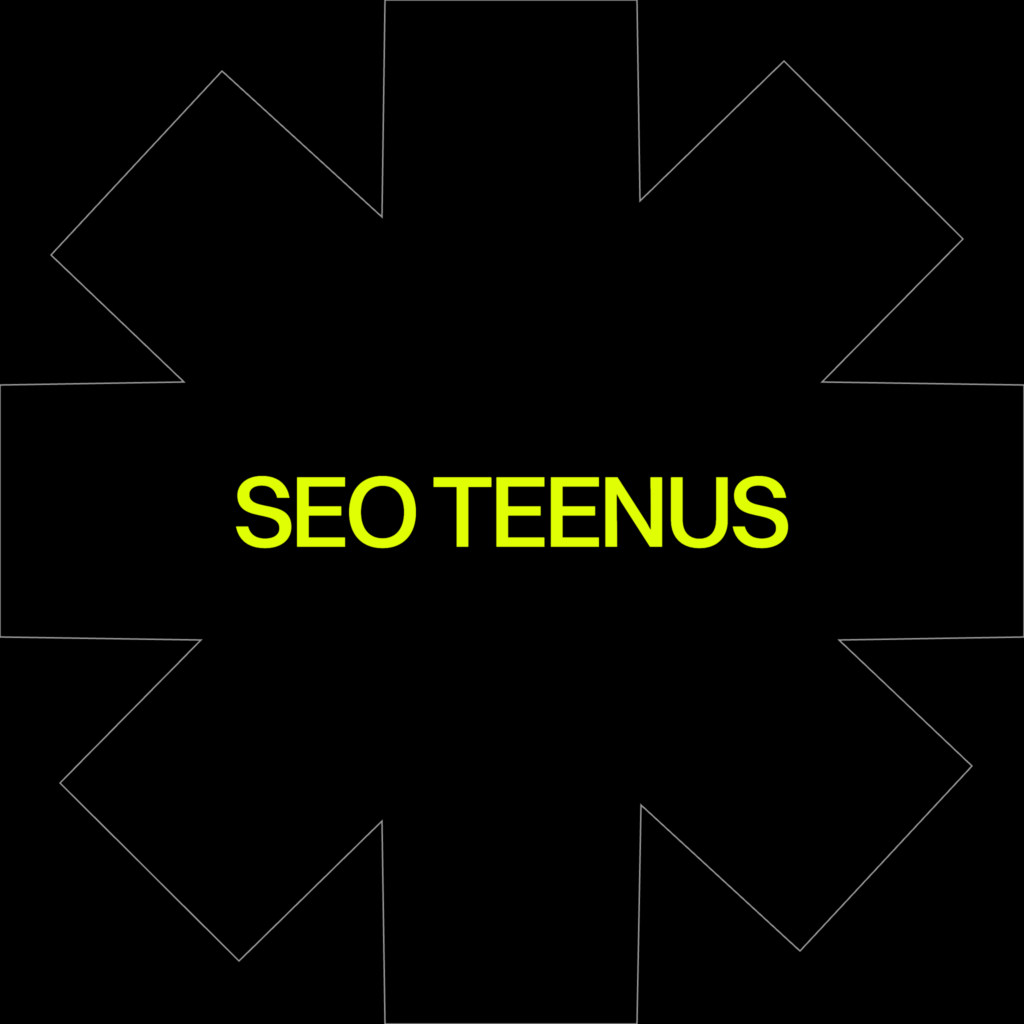 SEO teenus: mida kuutasu eest tegelikult tehakse