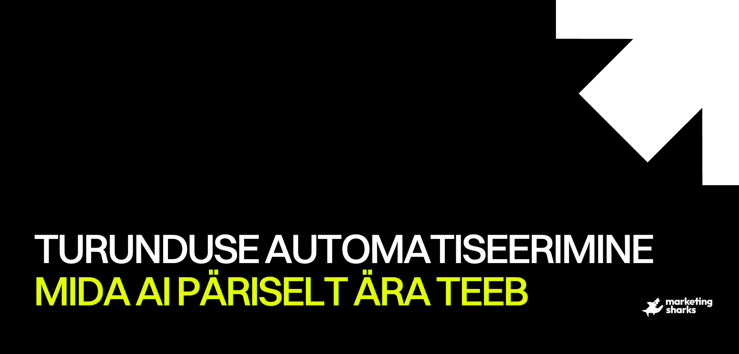 Digiturunduse automatiseerimine. Mida AI päriselt ära teeb
