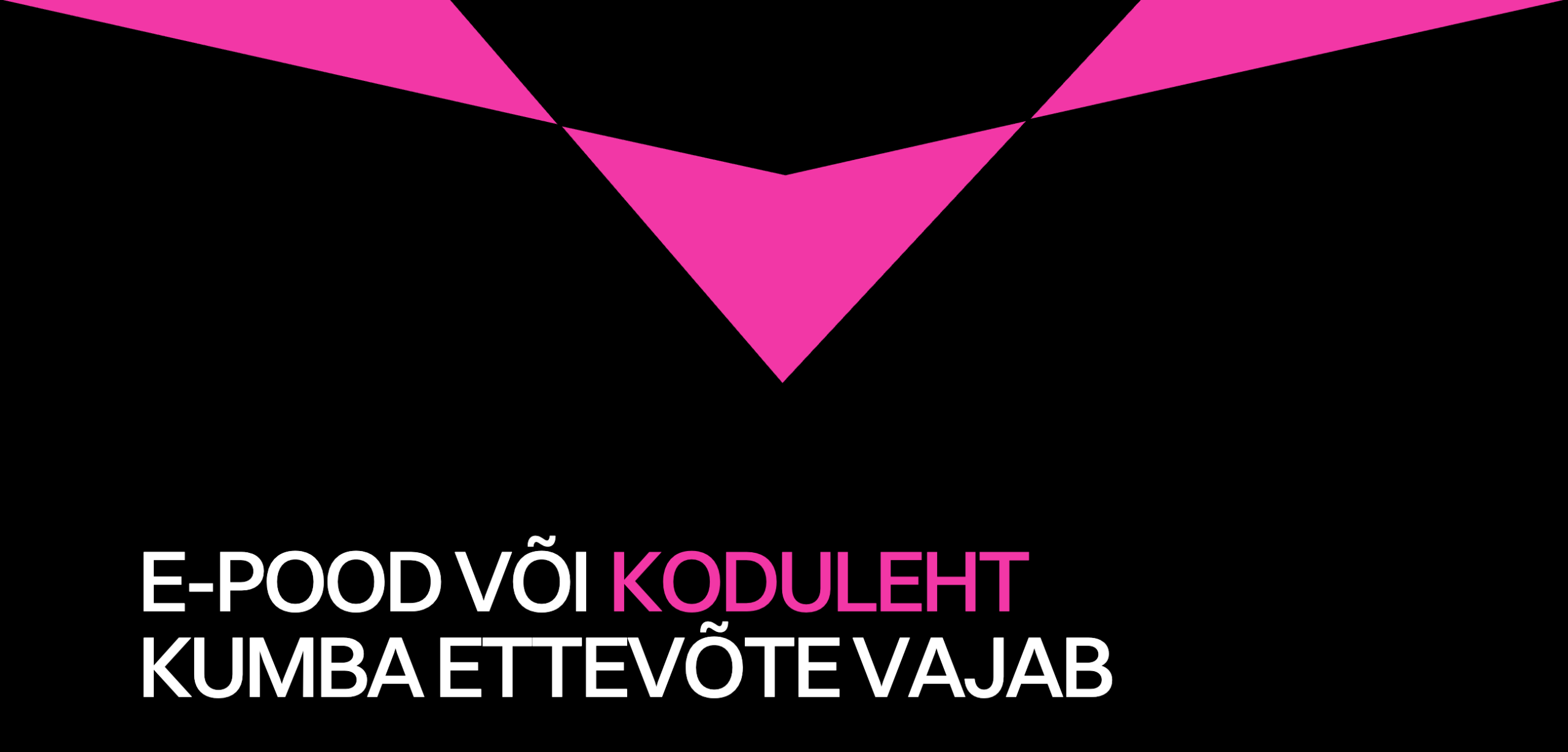 E-pood või koduleht, kumba sinu ettevõte vajab